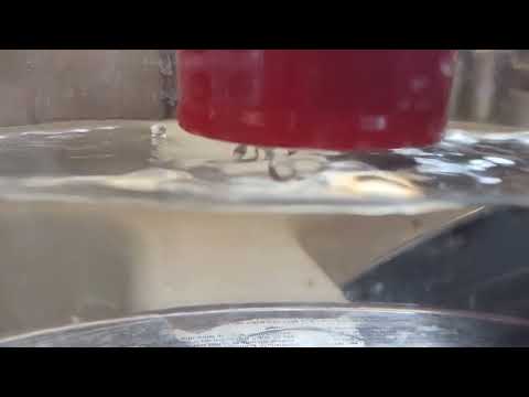 Droplets bouncing on water in slow motion