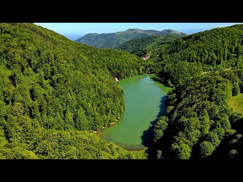 Întregalde - Platoul Ciumerna | Apuseni