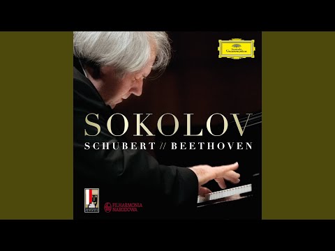 Beethoven: Piano Sonata No. 29 in B-Flat Major, Op. 106 "Hammerklavier": III. Adagio sostenuto...