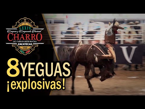 Tough Mares! Difficult Repairs - Zacatecas Congress 2018