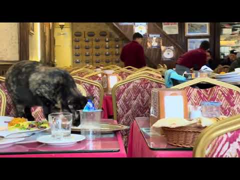 Istanbul 🇹🇷 | December 27, 2024