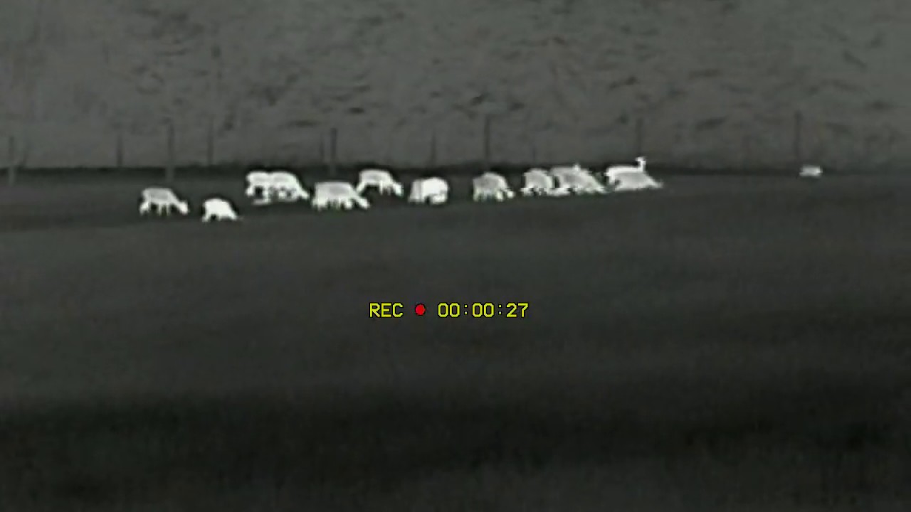 DIPOL TFA 2.0 SL Wärmebildvorsatz - Test vom Jagdluxx