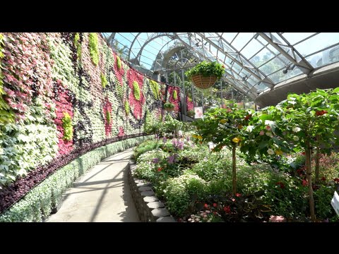 The Calyx inBLOOM, Royal Botanic Garden, Sydney