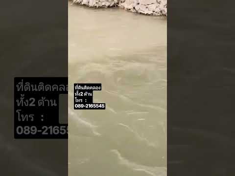 ตำบลบ้านบึง อำเภอบ้านไร่ อุทัยธานี, อุทัยธานี, บ้านบึง, บ้านไร่, อุทัยธานี, 10,708 ตร.ม., ที่ดิน ขาย, โดย สนใจติดต่อ, 500527519 - DDproperty.com