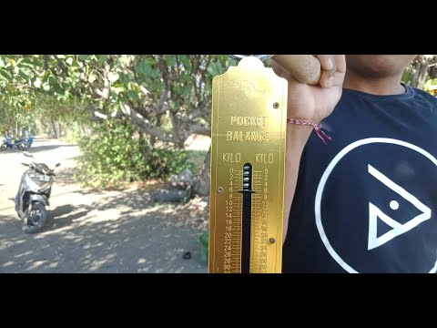 Bali team is Back at it!