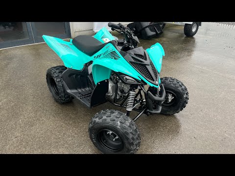 VIDEO! Yamaha Raptor 110cc Kids Quad - Image 2