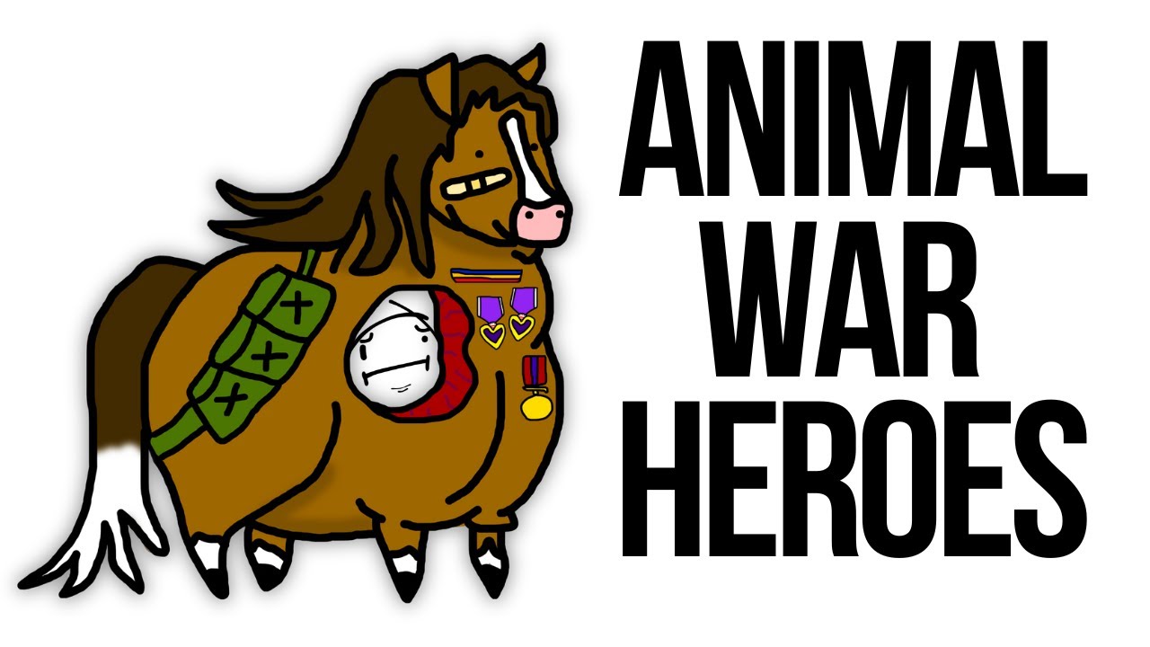 Greatest Animal War Heroes in History