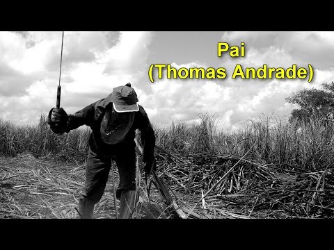 Pai - Thomas Andrade