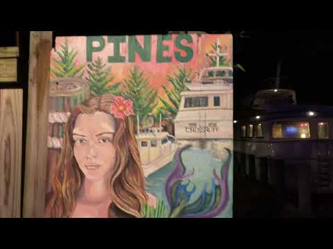 Fire Island Pines 🌲 NY marina walking tour New York USA summer 2021 4K night video