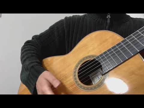 [Bear-Claw Spruce] Masaki Sakurai, STANDARD (1988: Same year he won the award) - All-solid classical guitar - made in Japan image 18