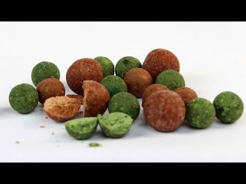 What are boilies? How to catch carp with boilies?