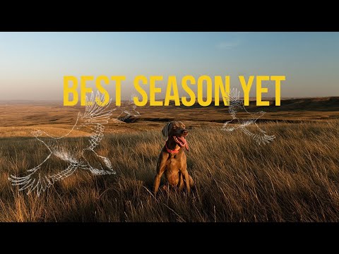 Life With Koda ( Episode 8)  - Best Season Yet