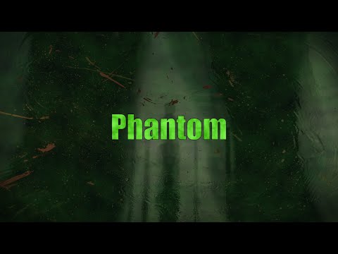 DIDKER x beatsbyNeVs - Phantom