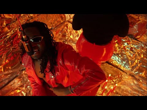 Qwiss - Designa (official Video)