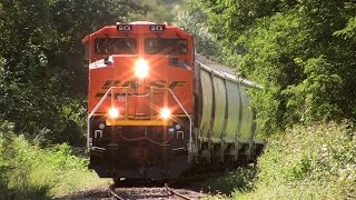 preview picture of video 'BNSF 8431, Two New ACes Along the Illinois Railway on 9-17-2014'