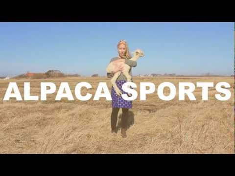 Alpaca Sports - Just for fun (official video)