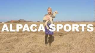 Alpaca Sports - Just for fun (official video)