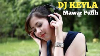 Download lagu Dj Lagu Dangdut | Mawar Putih | Music Apa Adanya mp3