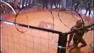 Download lagu Cage catfight mp3 Download lagu Cage catfight mp3