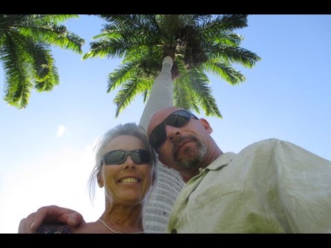 City Park full of Cuban Royal Palms