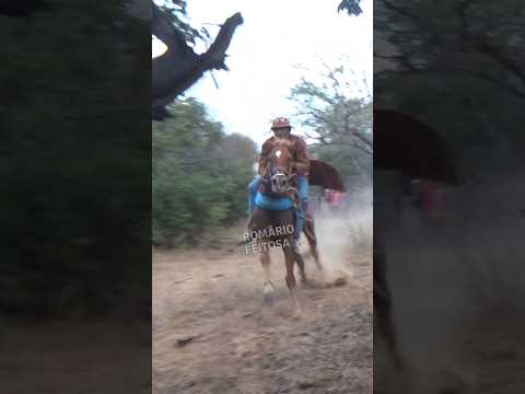 Esporte de vaqueiro #romariofeitosa