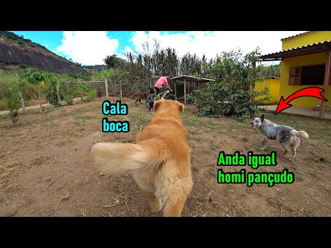 Aquele rebolado de respeito..😆😆