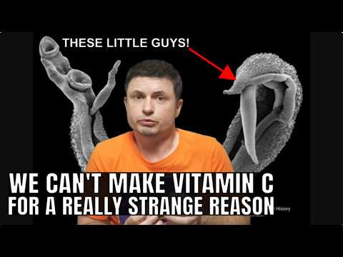 Surprising Reason Why Humans Can't Produce Vitamin C Anymore