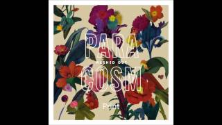 Washed Out - Paracosm