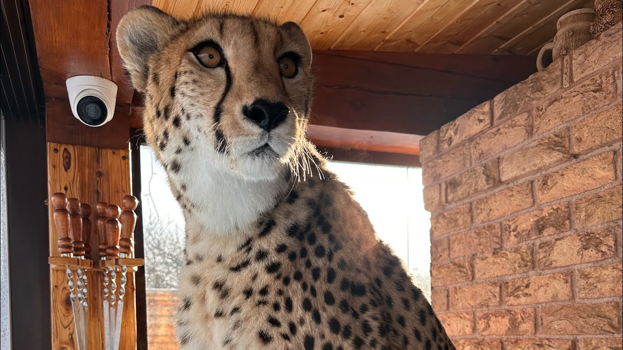 Герда сегодня никого не слушает, она на «своей волне». 