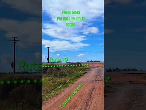 Vendo 5has sobre Ruta Nacional Núm 19, Paraje Isla Negra, Localidad 18 de Julio, Rocha #ventas