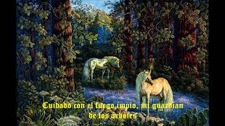 Rhapsody. Forest Of Unicorns subtitulada