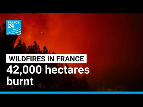 Fires in France: 42,000 hectares burnt, 220,000 people evacuated