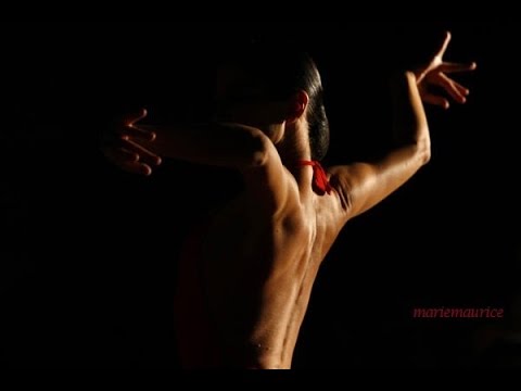 Omar Bashir - My Favorite Dance