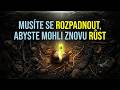 Tajemství Temné Noci Duše 5 Pravd Které Učila Dolores Cannon