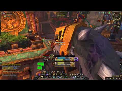 WoW ARENA 8.3  SV - Hunter,Schami vs Mage, Rogue. Meine Hass Kombo. Ca. 1650 CR