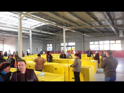 Mese piata Lugoj impartire Boldea 2