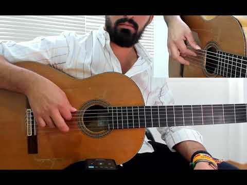 🎸  Flamenco Guitar Course Level 1/7 - Lesson 1 - Picado normal rythm