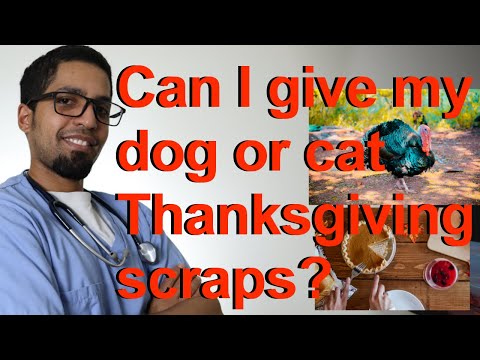 Thanksgiving, Can I give my dog or cat scraps?