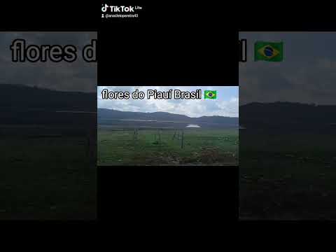 lagoa de flores do Piauí Brasil 🇧🇷