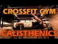 Enes Selimovic - Crossfit Gym - Calisthenics Workout