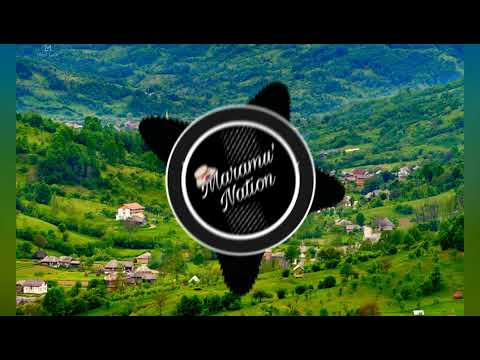 Ioana Vlad - Mă grăiești bade-n tot satu' [BASS BOOSTED]