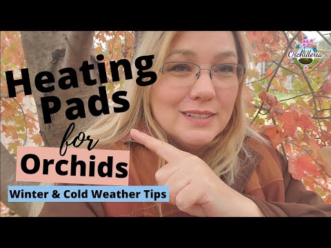 Heating Pads for Orchids: Luxury or Necessity For Winter?