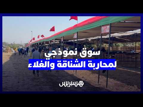 سوق نموذجي لمحاربة الشناقة 