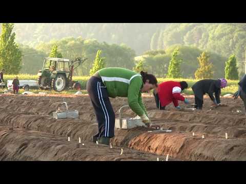 Reč struke ep. 177 22.05.2018. NAJAVA