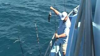 preview picture of video 'Stuart's Safari 1 Deep Sea Fishing'
