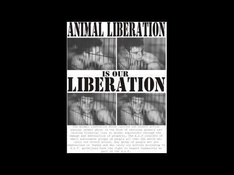 Radikale Tierrechtler sind empathische Menschen