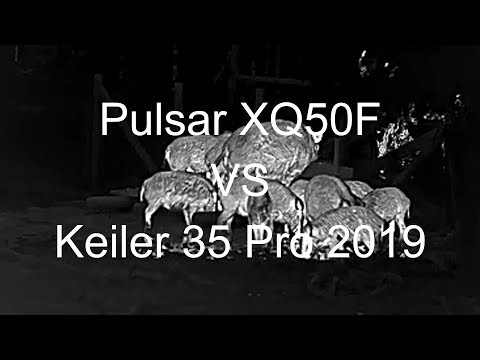 Jagen mit Wärmebildkamera: Vergleich Pulsar XQ50F und Keiler 35 Pro 2019