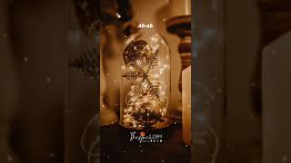 [Vietsub + Lyrics] Not Just On Christmas - Ariana Grande