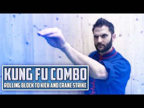 Kung Fu Combo - Crane Kung Fu Rolling Block to Kick to Crane Strike