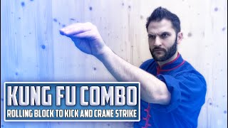 Kung Fu Combo - Crane Kung Fu Rolling Block to Kick to Crane Strike